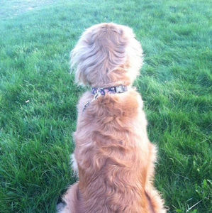 Meet your Posher, Jada